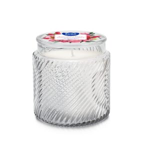 MIRISNA SVIJEĆA VALI MALINA BOZUR STAKLE